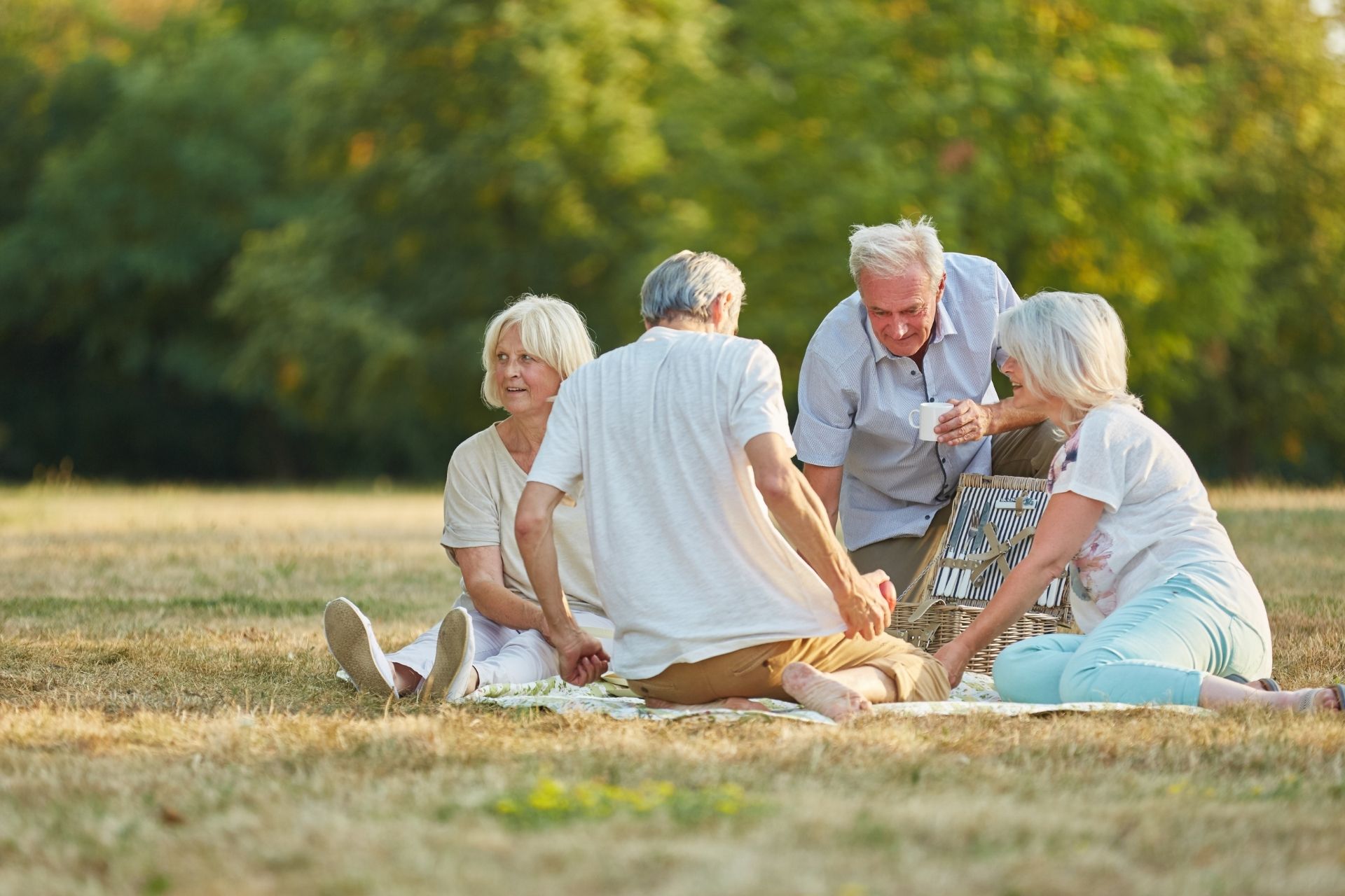 People sitting on a picnic blanket in the park 